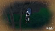 Fifth Simple Tomb in Genshin Impact (Image via Genshin Impact)